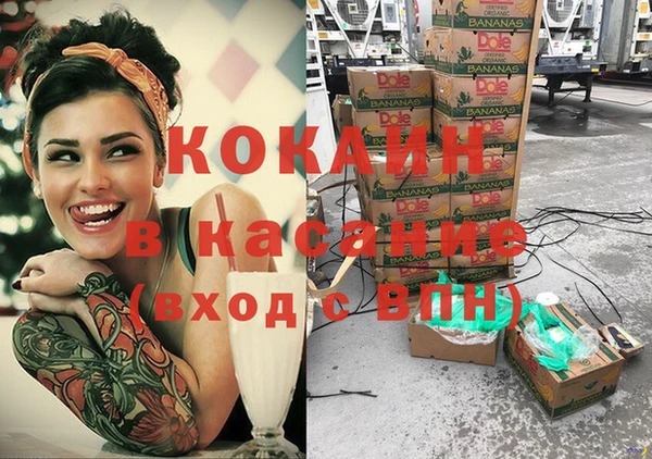 прущие грибы Коряжма