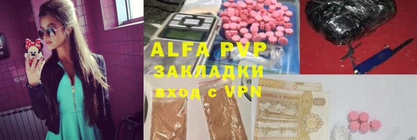 прущие грибы Коряжма