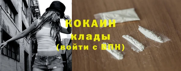 стаф Ессентукская