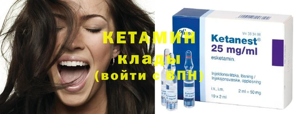 прущие грибы Коряжма