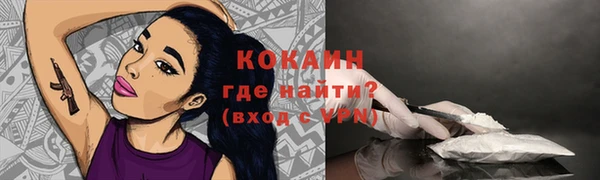 ГАЛЛЮЦИНОГЕННЫЕ ГРИБЫ Корсаков