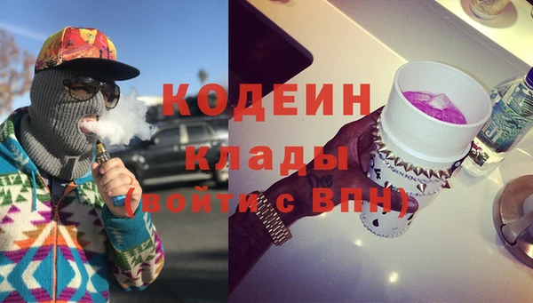 ГАЛЛЮЦИНОГЕННЫЕ ГРИБЫ Корсаков