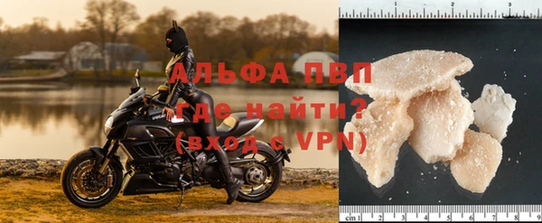 прущие грибы Коряжма