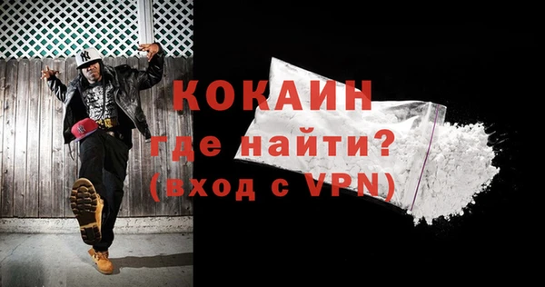 ГАЛЛЮЦИНОГЕННЫЕ ГРИБЫ Корсаков