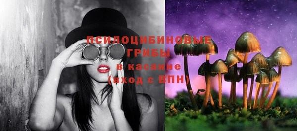 прущие грибы Коряжма