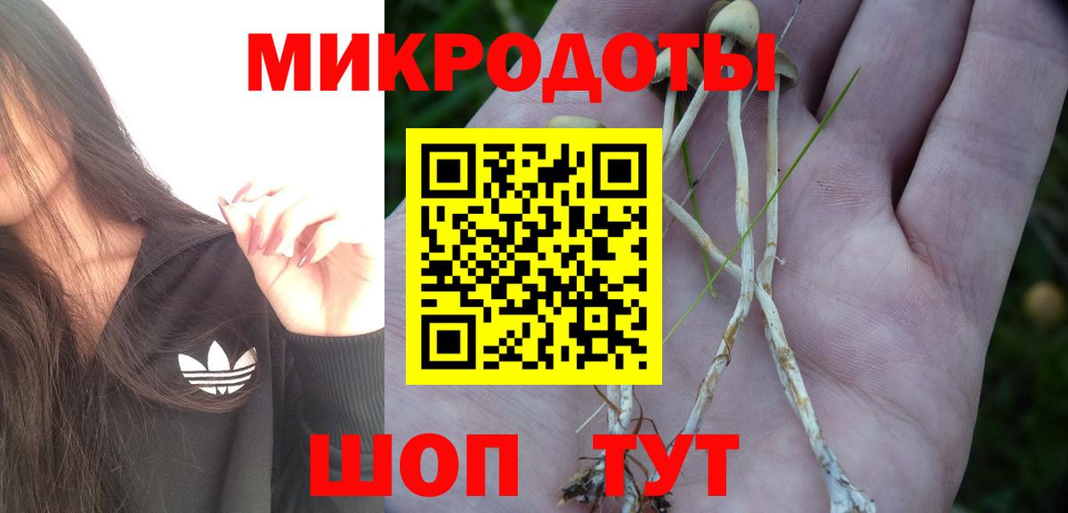 наркошоп  Вход с VPN  Янаул  Псилоцибиновые грибы Cubensis  Псилоцибиновые грибы Magic Shrooms 