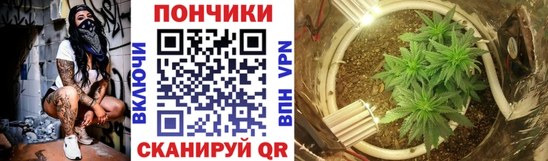 Бошки марихуана индика  darknet как зайти  Янаул 